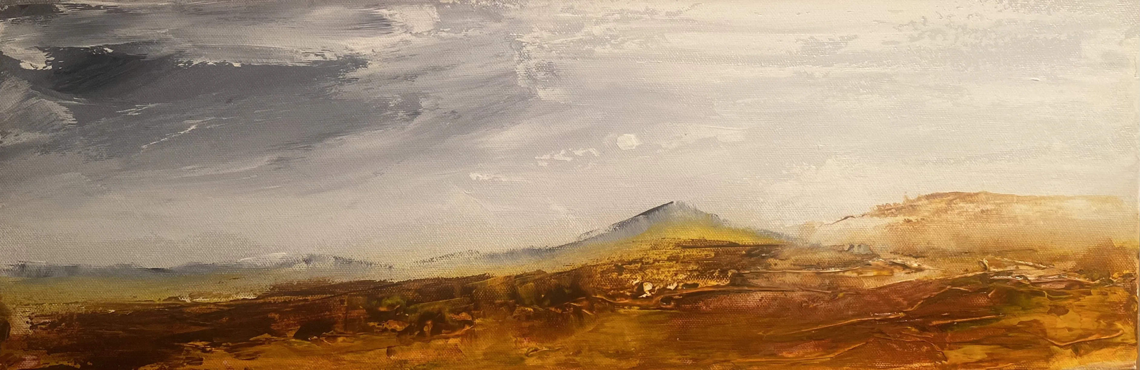 Image principale de Horizons brûlants