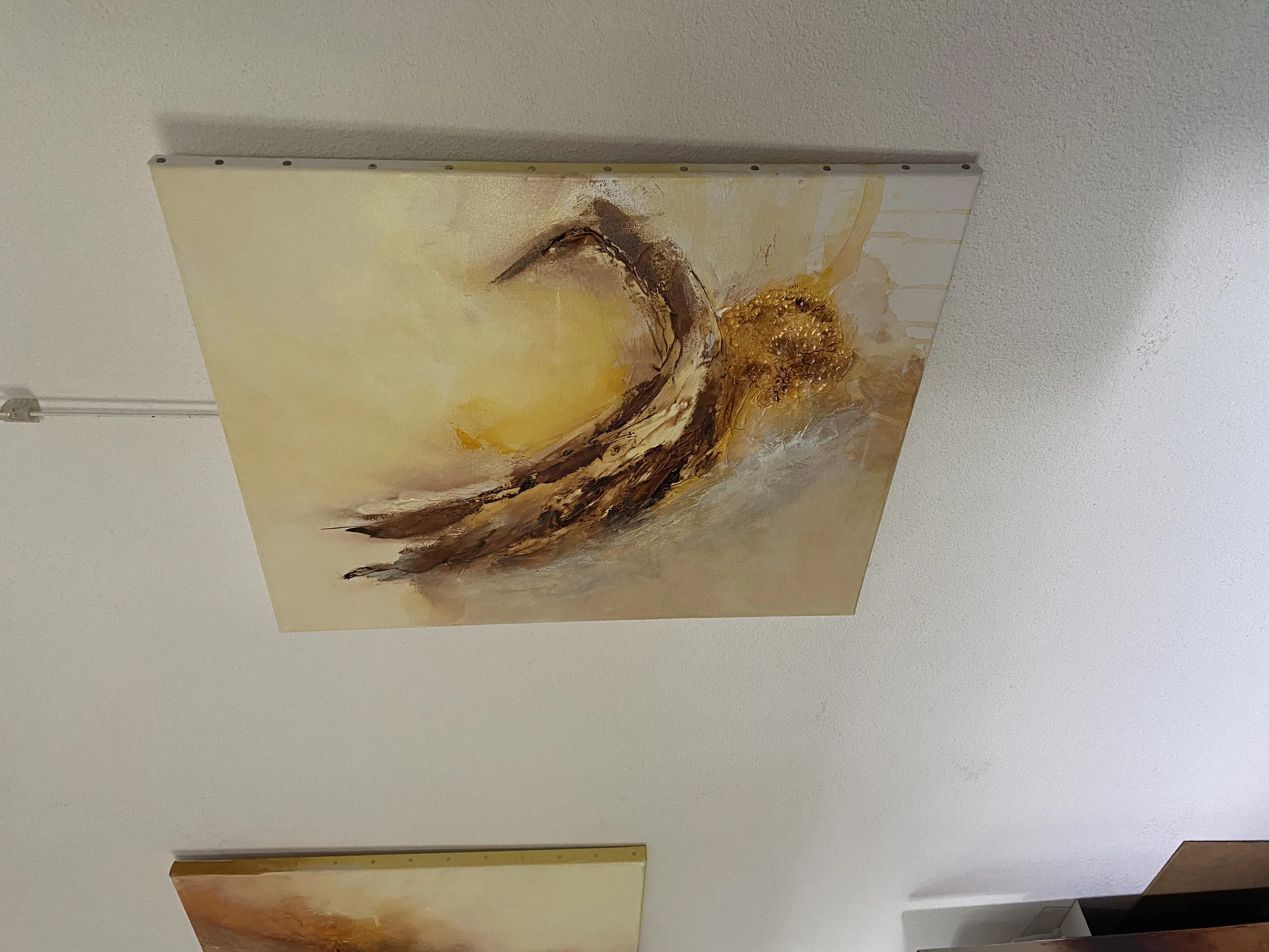 Image supplémentaire de Élan solaire